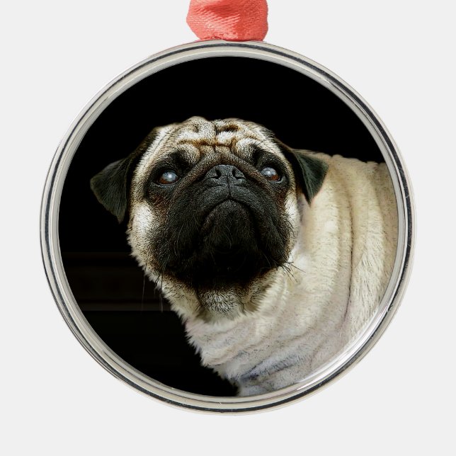 Pug Hund & Spilled Mugg Pet-älskare Ornament (Framsidan)