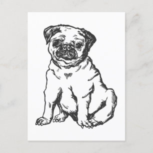 Pug hund, svartvit illustration vykort