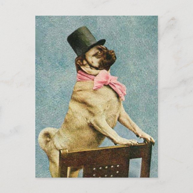 Pug Hund Tophat vycard Vykort (Framsida)