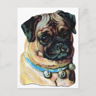 Pug Hund Vintage Vykort