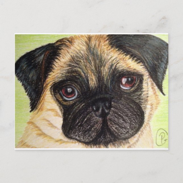 Pug Hund Vykort (Framsida)