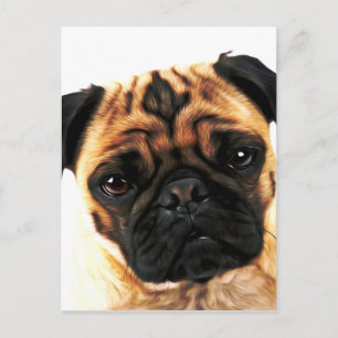 pug hund vykort