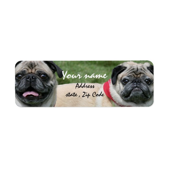 Pug hundar adressetiketter returadress etikett (Framsidan)