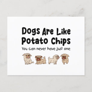 Pug Hundar är som potatis Chip som man aldrig kan Vykort