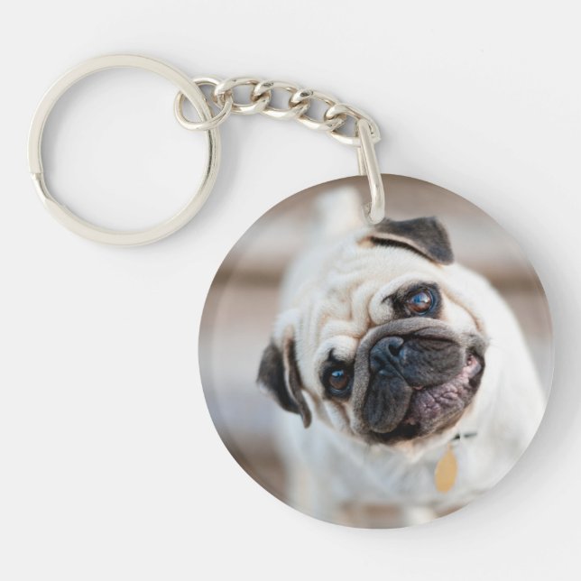 Pug huvud Lutning (Framsidan)