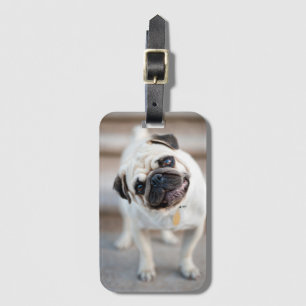 Pug huvud Lutning Bagagebricka