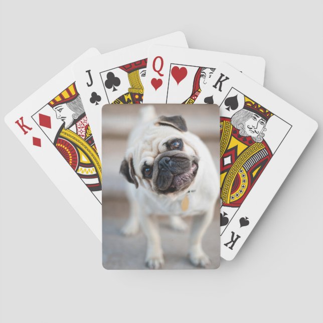 Pug huvud Lutning Casinokort (Baksidan)