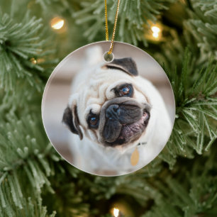 Pug huvud Lutning Julgransprydnad Keramik