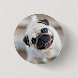 Pug huvud Lutning Knapp