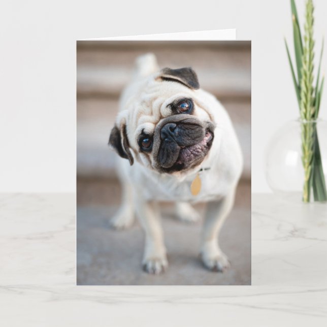 Pug huvud Lutning Kort (Framsida)