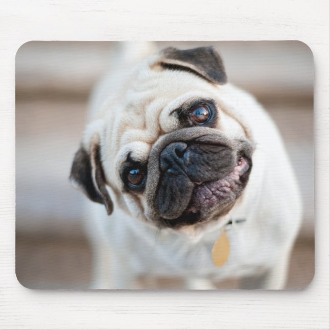 Pug huvud Lutning Musmatta (Framsidan)