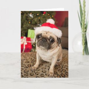 Pug i Jultomten Hat sitta på mattan Helgkort