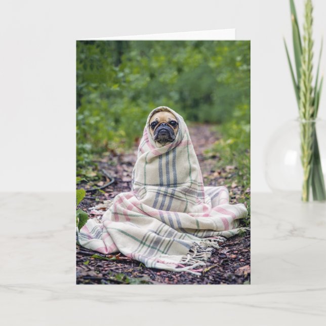 Pug in a Blanket Kort (Framsida)