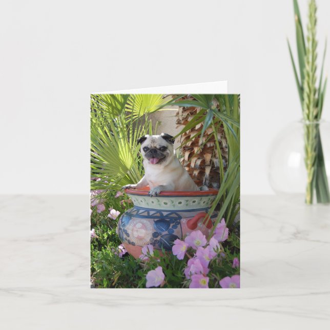 Pug in a jug kort (Framsida)