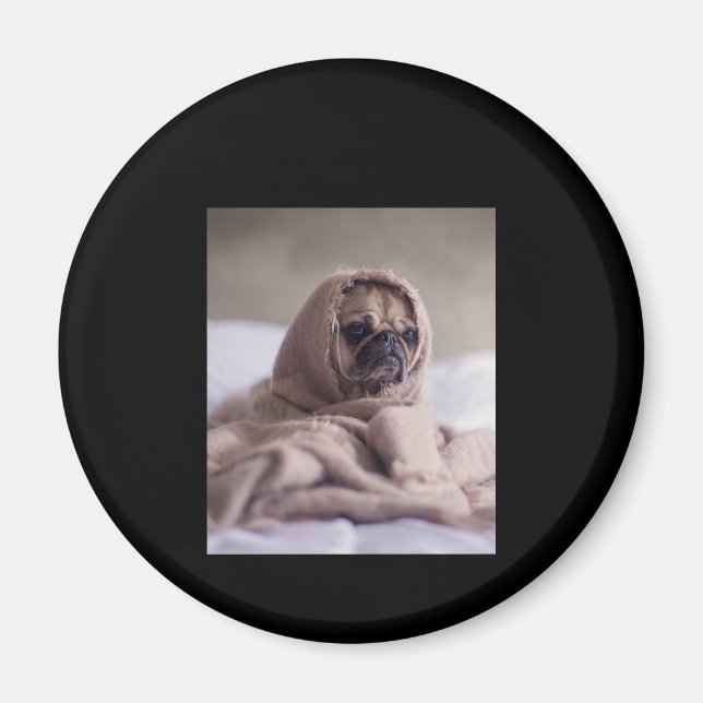 Pug in Blanket Cute Pug Hund älskare Gift Magnet (Framsidan)