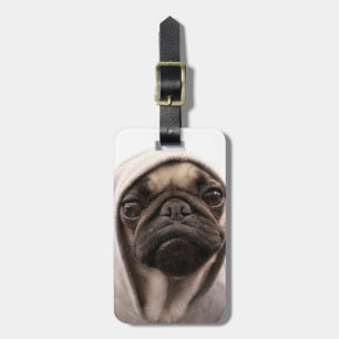 Pug in i en hood bagagebricka