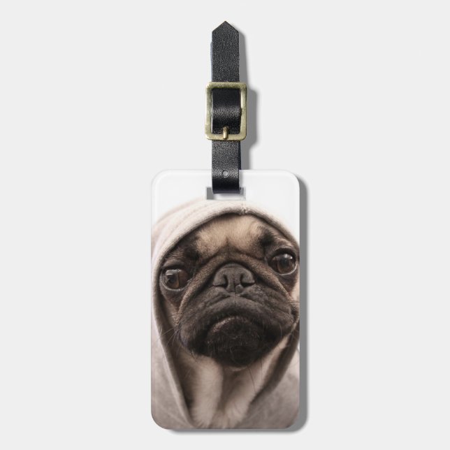 Pug in i en hood bagagebricka (Vertikal Framsida)