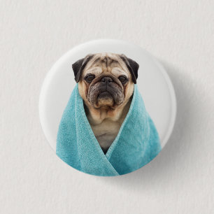 Pug in i ett torn knapp
