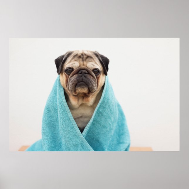 Pug in i ett torn poster (Framsidan)