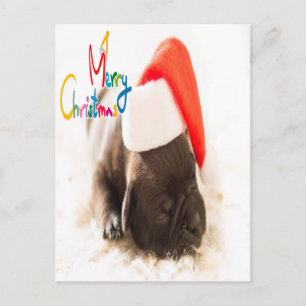 Pug-jul Vykort