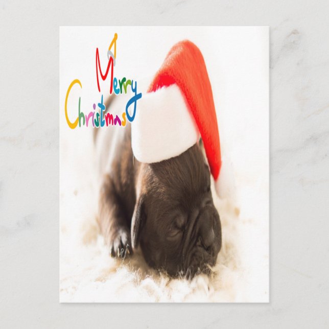Pug-jul Vykort (Framsida)