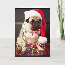 Pug julkort helgkort