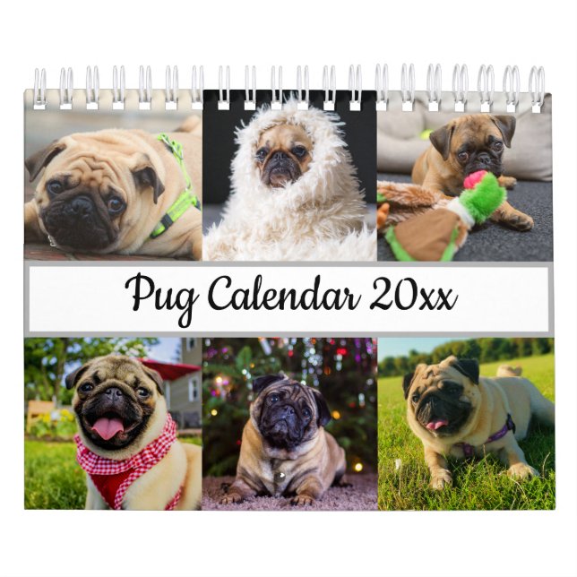Pug Kalender (Omslag)