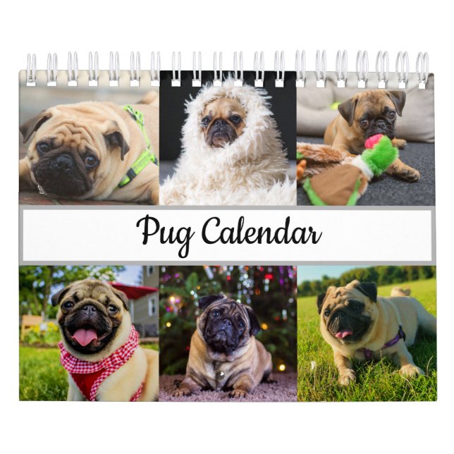 Pug Kalender (Omslag)