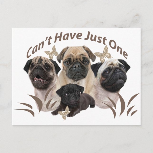 Pug kan inte bara ha en apparat och gåvor vykort (Framsida)