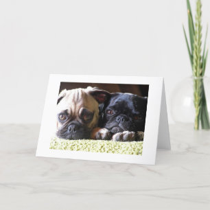 Pug Kärlek Note-kort Kort