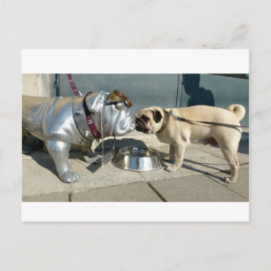 Pug kisses vykort