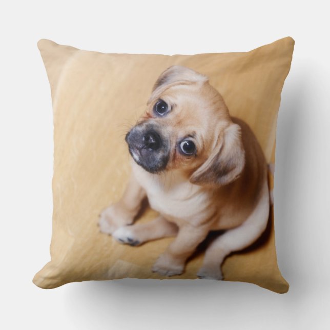 Pug Kor Cavalier Kung Charles Spain Kudde (Framsida)