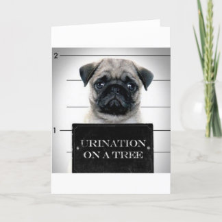 Pug Kort