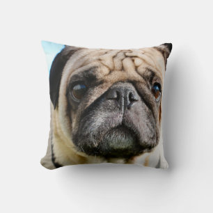 Pug Kudde
