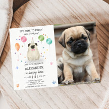Pug Lets Hund Pawty Puppy Birthday Rosa Photo