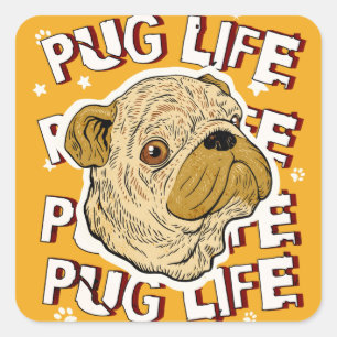 Pug Life Animal Hund Fyrkantigt Klistermärke