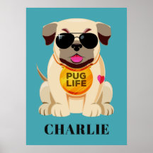 Pug Life-användarnamn och färg-poster