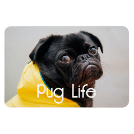 "Pug Life" Helt redigerbart fotomagnet Magnet