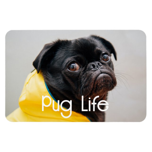 "Pug Life" Helt redigerbart fotomagnet Magnet (Horisontell)