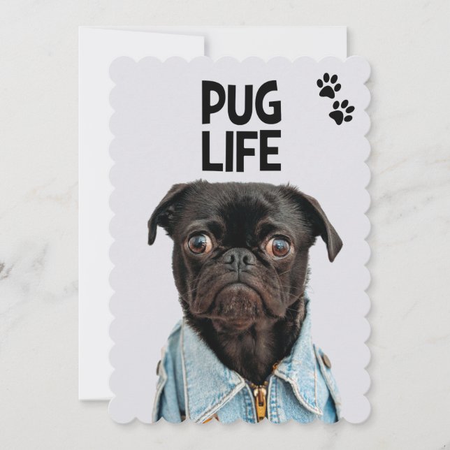 Pug Life Pun (Framsida)