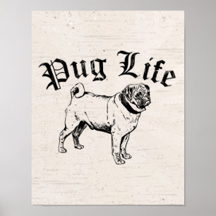 Pug Life Rolig hund Gangster Poster