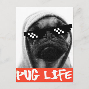 Pug Life Vykort