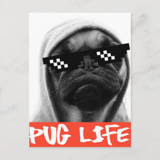Pug Life Vykort