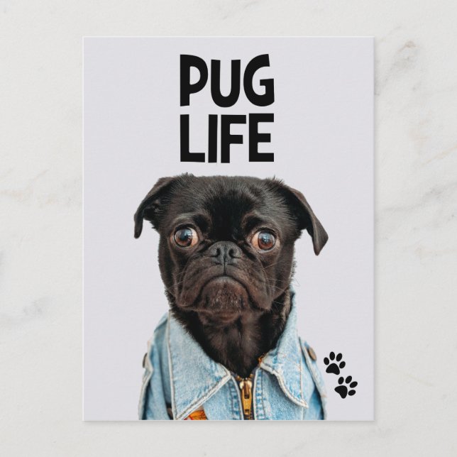 Pug Life-vykort Vykort (Framsida)