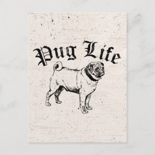 Pug Liv Rolig Hund Gangster Vykort