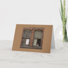 Pug Lookout '' '' '' Kort