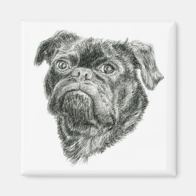 Pug Magnet (Framsidan)