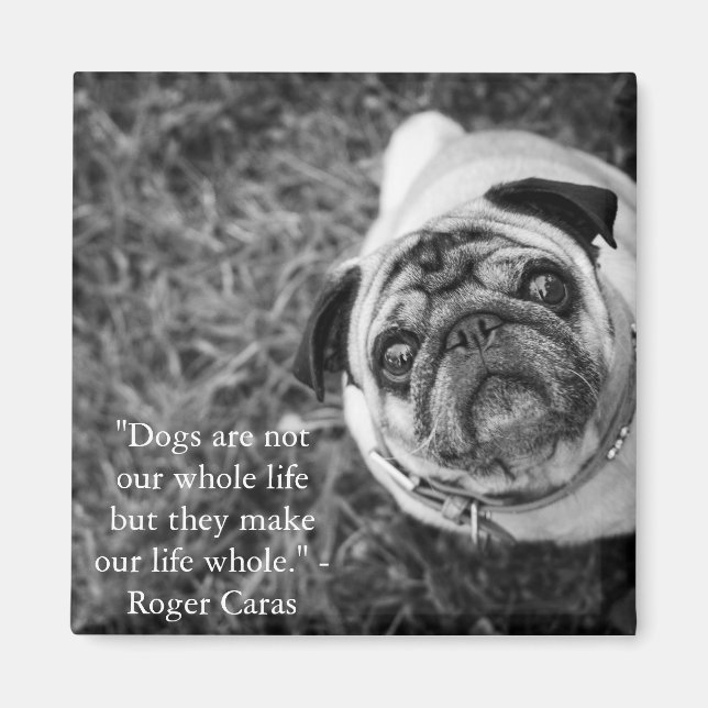 Pug magnet (Framsidan)