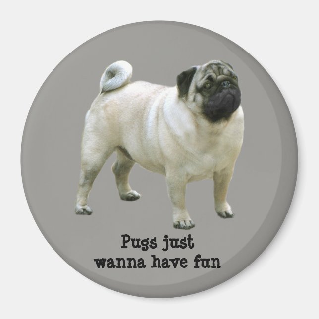 Pug Magnet (Framsidan)