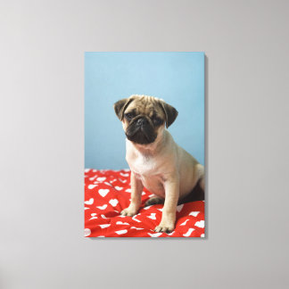 Pug marionett sitta på sängen canvastryck